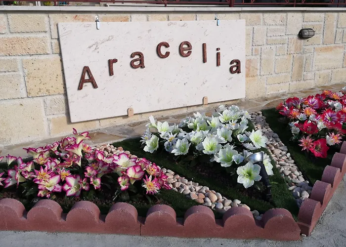 Aracelia With Private Pool 别墅