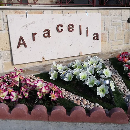 Aracelia With Private Pool Vila